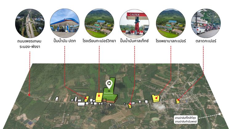 ที่ดินสวนปาล์ม 102 ไร่ 3 งาน 74 ตารางวา อ.กะเปอร์ จังหวัดระนอง รูปที่ 2