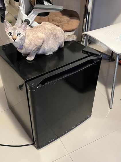 SONAR ตู้เย็นมินิบาร์ ขนาด 1.8 