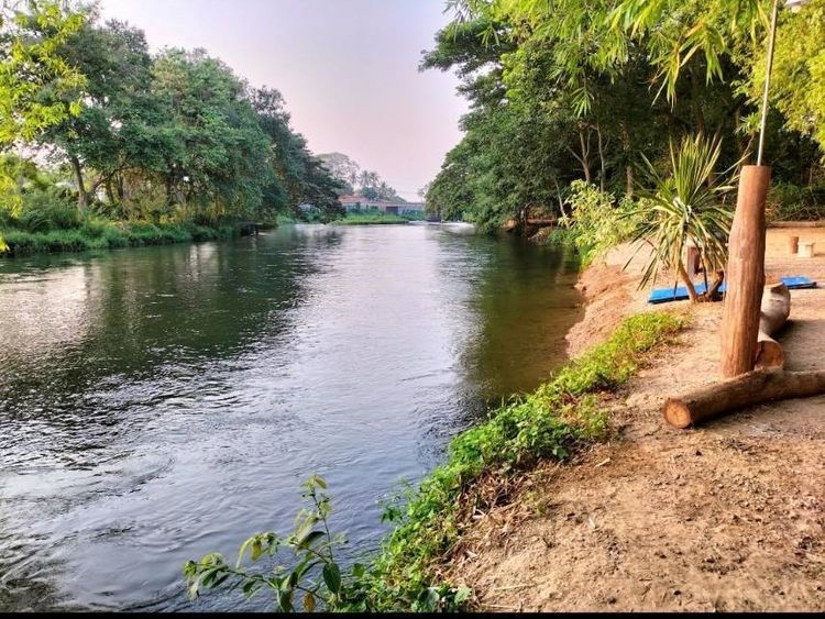 ขายที่ติดแม่น้ำเพชรบุรี เนื้อที่ 7 ไร่ 1 งาน อยู่ที่ ต. กลัดหลวง อำเภอ ท่ายางจังหวัด เพชรบุรี 