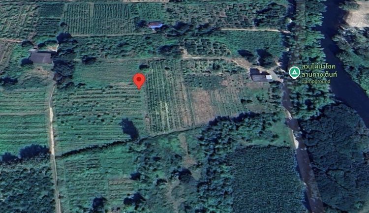 ขายที่ติดแม่น้ำเพชรบุรี เนื้อที่ 7 ไร่ 1 งาน อยู่ที่ ต. กลัดหลวง อำเภอ ท่ายางจังหวัด เพชรบุรี รูปที่ 2