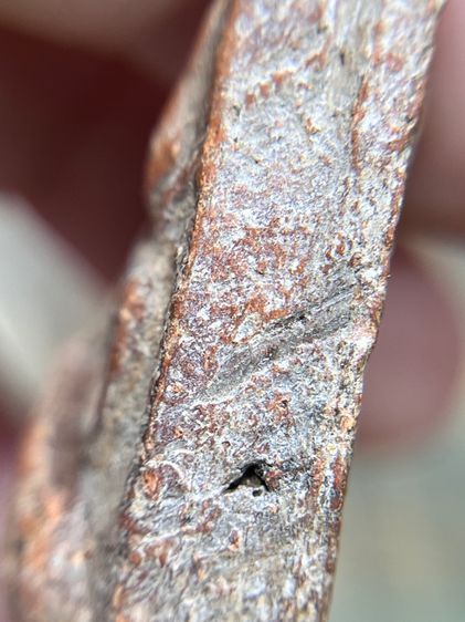 พระนางพญา กรุวัดโพธิญาณ รูปที่ 10