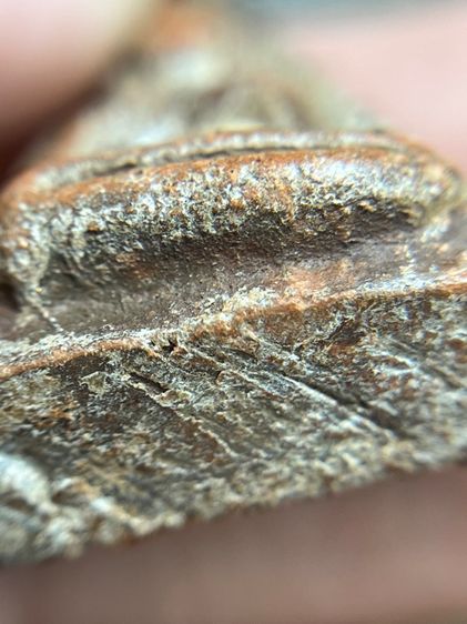 พระนางพญา กรุวัดโพธิญาณ รูปที่ 9