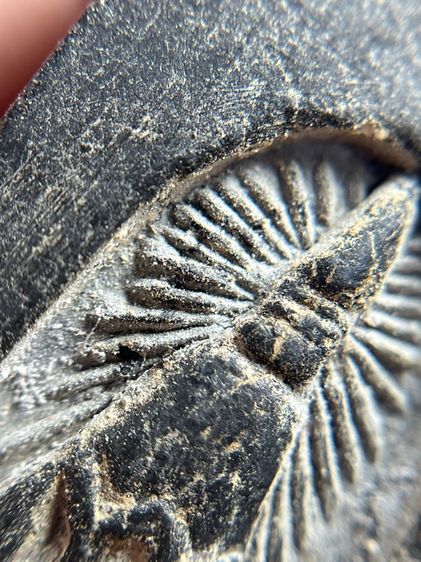 หลวงปู่ทวดเหยียบนํ้าทะเลจืดเนื้อว่าน 108 เจดีย์หลังเจดีย์ วัดพระโค๊ะ รูปที่ 16