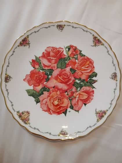 limited english plate รูปที่ 2