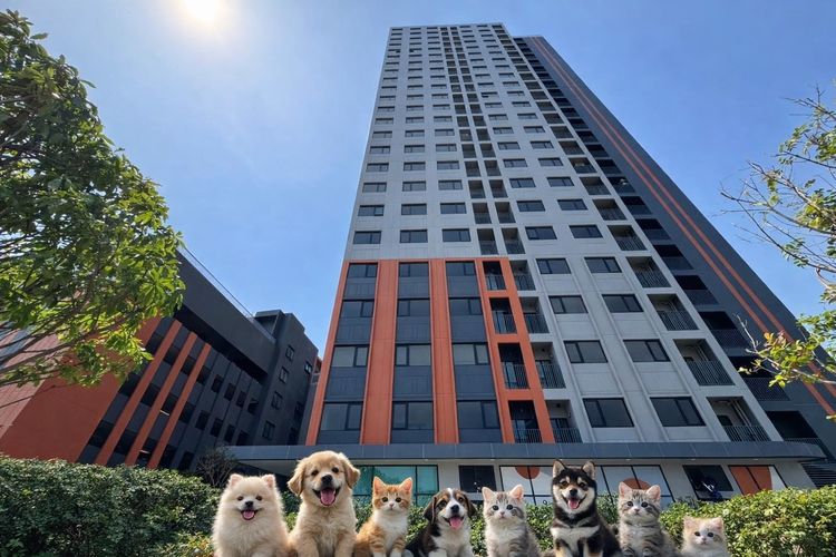 ขายคอนโด The Origin แพรกษา 26 ตารางเมตร  วิวสวย 