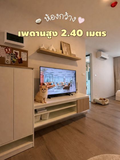 อื่นๆ เลี้ยงสัตว์ได้ มีบางส่วน 2025 ขายคอนโด The Origin แพรกษา 26 ตารางเมตร  วิวสวย  รูปที่ 3