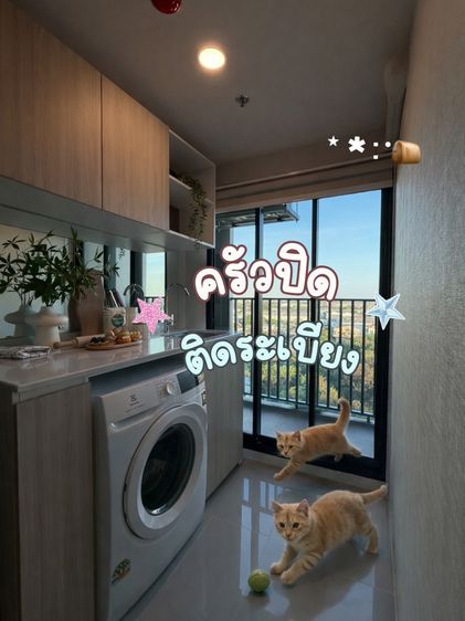 อื่นๆ เลี้ยงสัตว์ได้ มีบางส่วน 2025 ขายคอนโด The Origin แพรกษา 26 ตารางเมตร  วิวสวย  รูปที่ 4