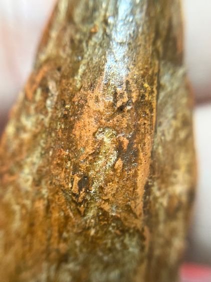 พระเลี่ยง ลําพูน เนื้อดิน รูปที่ 13