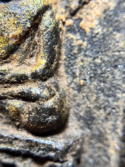 หลวงปู่ทวด ฐานแม่พระธรณีบีบมวยผม เนื้อว่าน รูปที่ 7