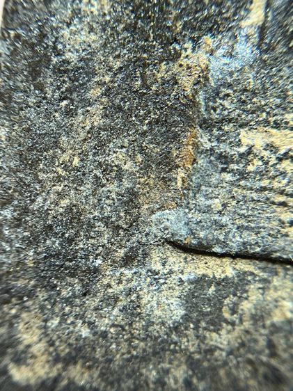 หลวงปู่ทวด ฐานแม่พระธรณีบีบมวยผม เนื้อว่าน รูปที่ 12