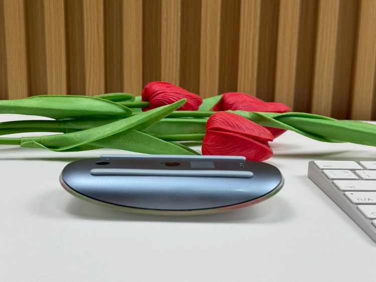 Apple Magic Keyboard2 (Lightning) รูปที่ 11