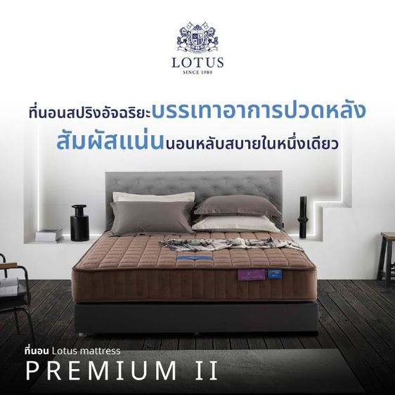 คิง ขายที่นอน Lotus 6 ฟุต ใหม่มาก
