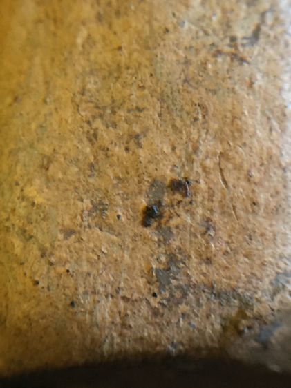 พระบางลำพูนพิมพ์ย้อนยุคเนื้อดินเผา รูปที่ 11