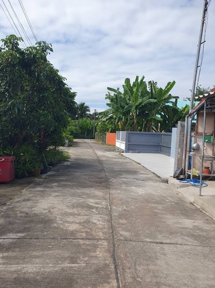 อื่นๆ ไม่มี ขายบ้านสันป่าตอง 163 ตร.ว. 3นอน2น้ำ ใกล้เลี่ยงเมือง เพียง 2.2 ล้าน รูปที่ 3