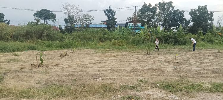 ใช่ ให้เช่าที่ดินถมแล้วประมาณ100 ตร.วา 3แปลงติดกัน รูปที่ 2