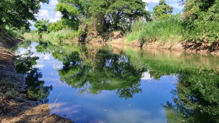 ไม่ใช่ เจ้าของขายเอง ติดแม่น้ำลี้ ใกล้ทางขึ้นดอยอินทนนท์ วิวสวยอากาศเย็นสบาย รูปที่ 3