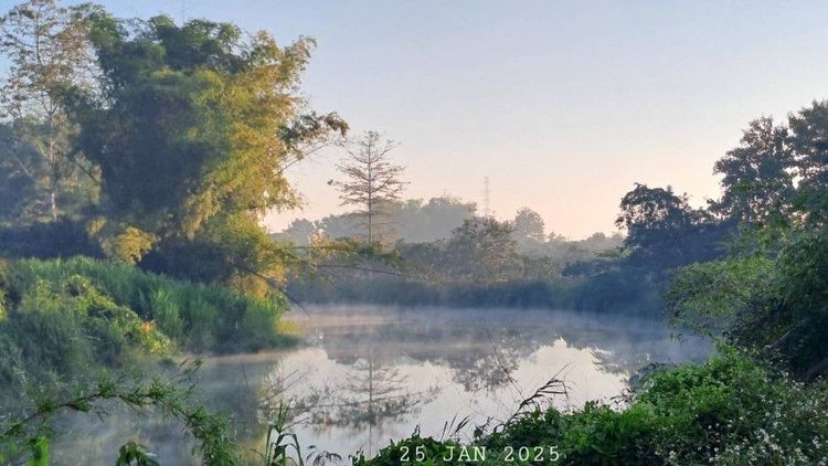 ไม่ใช่ เจ้าของขายเอง ติดแม่น้ำลี้ ใกล้ทางขึ้นดอยอินทนนท์ วิวสวยอากาศเย็นสบาย รูปที่ 4