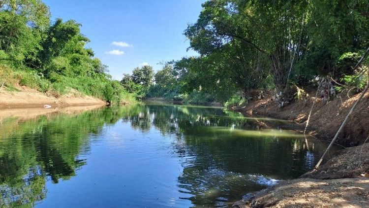 ไม่ใช่ เจ้าของขายเอง ติดแม่น้ำลี้ ใกล้ทางขึ้นดอยอินทนนท์ วิวสวยอากาศเย็นสบาย