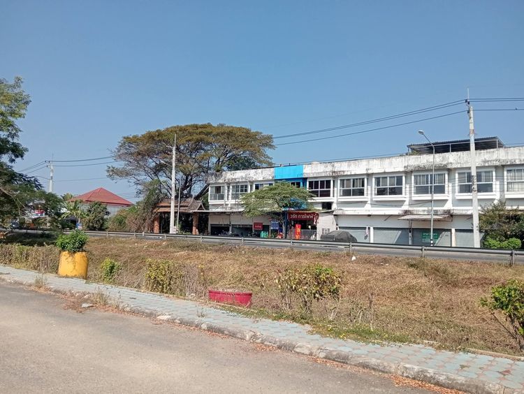 อื่นๆ ไม่มี บ้านพร้อมที่ดิน 88 ตร.วา ราคาดี 1.32 ล้าน ใกล้แยกเล็กพาณิชย์ สันป่าตอง ห่างถนนใหญ่ 500 ม. รูปที่ 2