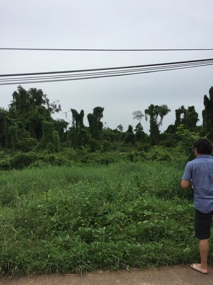 ใช่ ขายที่ดินปากน้ำชุมพร รูปที่ 2