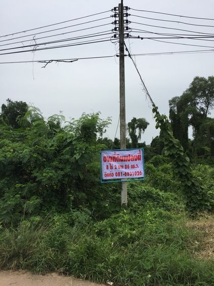 ใช่ ขายที่ดินปากน้ำชุมพร