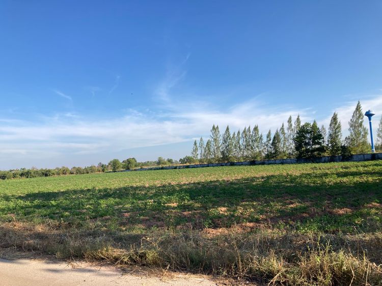 ขายที่ดินสวย ทำเลดี อ.เมืองสระแก้ว จ.สระแก้ว เนื้อที่เกือบ 20 ไร่