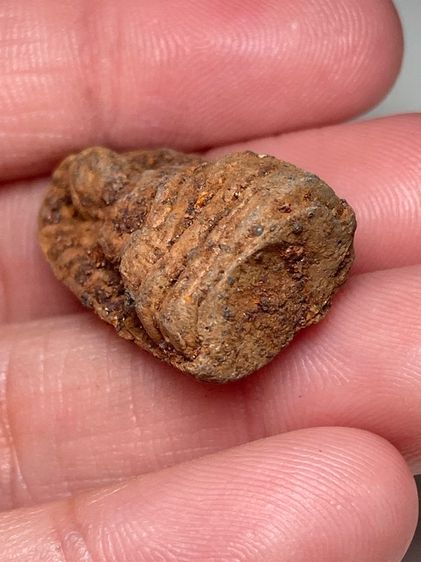 พระรอดเนื้อดิน รูปที่ 5