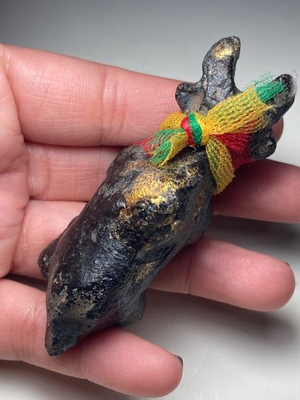 วัวธนูผูกผ้าสามสี รูปที่ 6