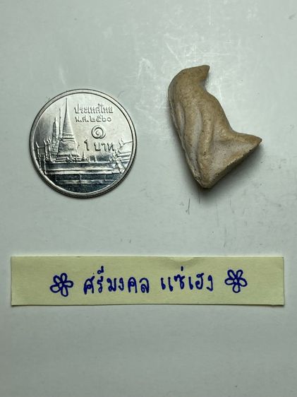 นกสาริกาเนื้อผง รูปที่ 6