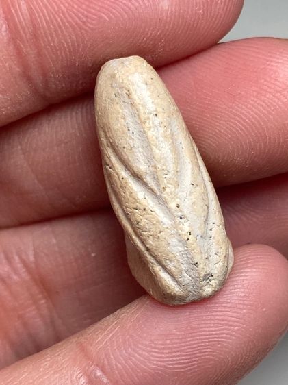 นกสาริกาเนื้อผง รูปที่ 3