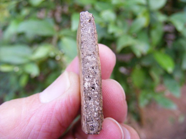 ( ขายแล้ว) พระสมเด็จ เก่า บ้านๆเดิมๆ รูปที่ 15