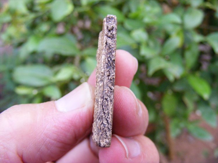 ( ขายแล้ว) พระสมเด็จ เก่า บ้านๆเดิมๆ รูปที่ 9