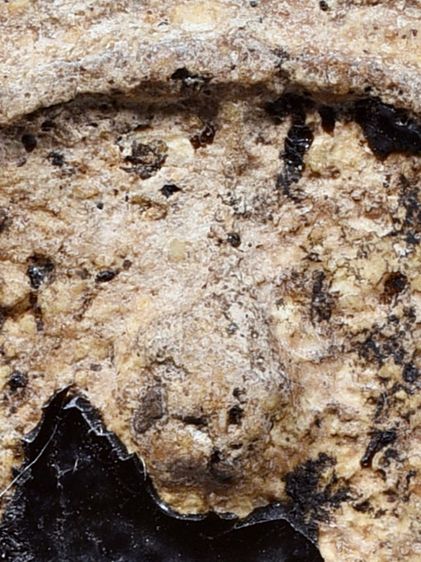 สวยมาก-องค์ครู ให้เช่า พระบ้าน  (1ในตำนาน) ชุดเบญจภาคี พระสมเด็จวัดระฆัง พิมพ์ใหญ่  จุ่มรักสีดำ  รูปที่ 8