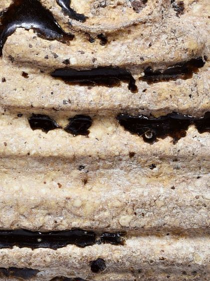 สวยมาก-องค์ครู ให้เช่า พระบ้าน  (1ในตำนาน) ชุดเบญจภาคี พระสมเด็จวัดระฆัง พิมพ์ใหญ่  จุ่มรักสีดำ  รูปที่ 10