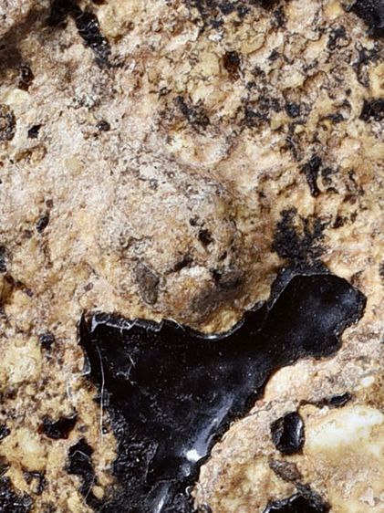 สวยมาก-องค์ครู ให้เช่า พระบ้าน  (1ในตำนาน) ชุดเบญจภาคี พระสมเด็จวัดระฆัง พิมพ์ใหญ่  จุ่มรักสีดำ  รูปที่ 2