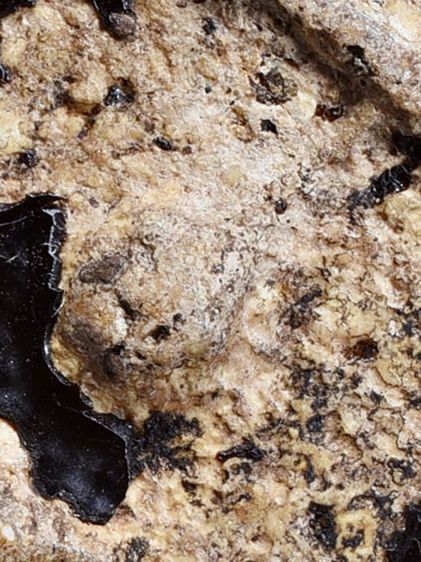 สวยมาก-องค์ครู ให้เช่า พระบ้าน  (1ในตำนาน) ชุดเบญจภาคี พระสมเด็จวัดระฆัง พิมพ์ใหญ่  จุ่มรักสีดำ  รูปที่ 15