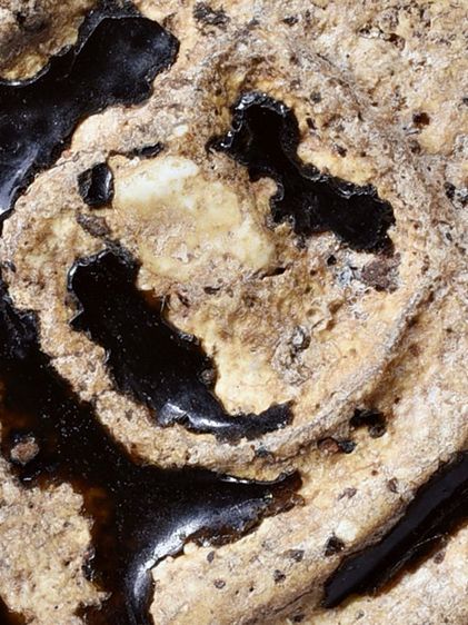 สวยมาก-องค์ครู ให้เช่า พระบ้าน  (1ในตำนาน) ชุดเบญจภาคี พระสมเด็จวัดระฆัง พิมพ์ใหญ่  จุ่มรักสีดำ  รูปที่ 3