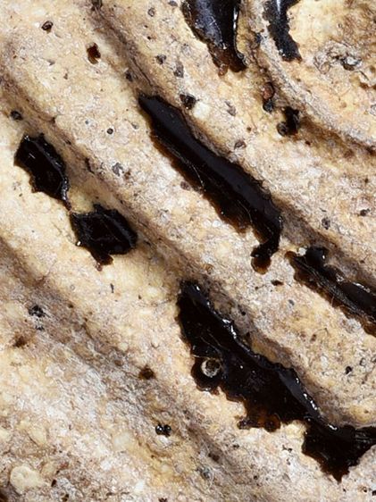 สวยมาก-องค์ครู ให้เช่า พระบ้าน  (1ในตำนาน) ชุดเบญจภาคี พระสมเด็จวัดระฆัง พิมพ์ใหญ่  จุ่มรักสีดำ  รูปที่ 17