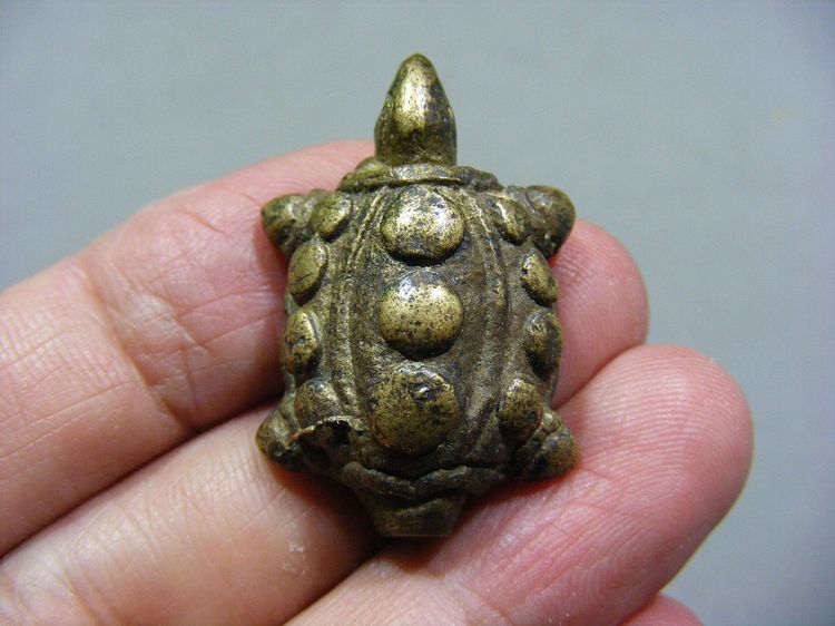 พญาเต่าเรือน เก่า สวย แปลก 