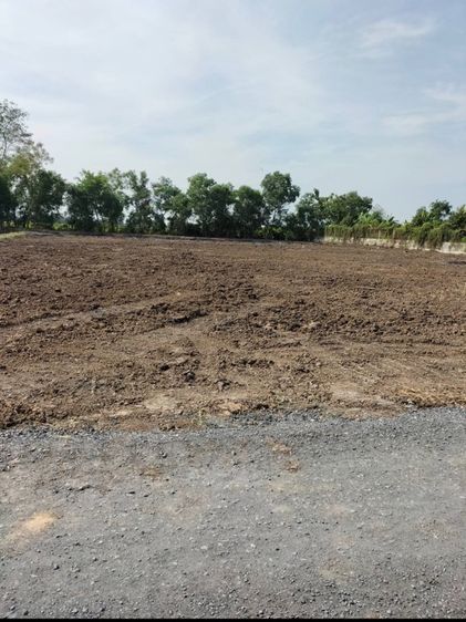 ให้เช่าที่ดินทำการเกษตร หรือขาย รูปที่ 2