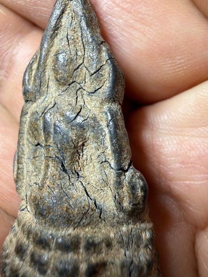 พระพุทธชินราชอินโดจีนปี2485 เนื้อตะกั่วนม ผิวจะคล้ำเเละแตกร้าว ตามกาลเวลา ตามปกติ ของเนื้อนี้ พระเก่าๆ เหมาๆ บ้านๆ พระคนแก่เก่าๆ รูปที่ 4