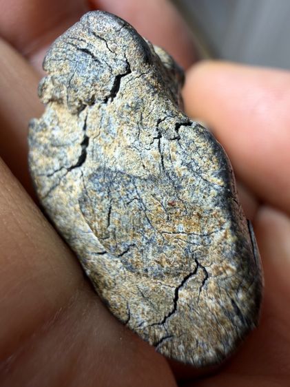 พระพุทธชินราชอินโดจีนปี2485 เนื้อตะกั่วนม ผิวจะคล้ำเเละแตกร้าว ตามกาลเวลา ตามปกติ ของเนื้อนี้ พระเก่าๆ เหมาๆ บ้านๆ พระคนแก่เก่าๆ รูปที่ 14