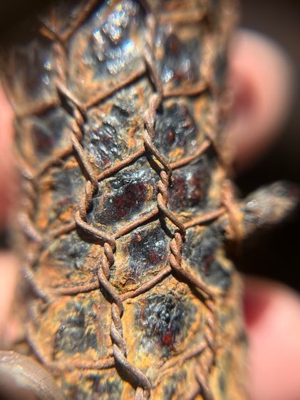 ตะกรุดไม้ครูมันมันถักลวดไม่ทราบที่(มีสินค้าหลายรายการกดเข้ามาดูในโปรไฟล์ได้เลยครับ)