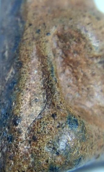 พระนางพญาพิมพ์อกนูนพิษณุโลก รูปที่ 4