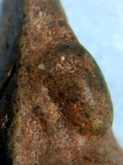 พระนางพญาพิมพ์อกนูนพิษณุโลก รูปที่ 8