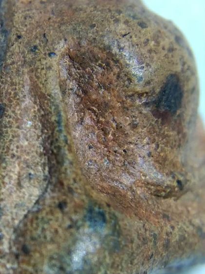 พระนางพญาพิมพ์อกนูนพิษณุโลก รูปที่ 2