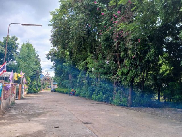 ไม่ใช่ ขายที่ดินเขายให้เช่าที่ดินต.ลำสนธิอ.ชัยบาดาลจ.ลพบุรี รูปที่ 4