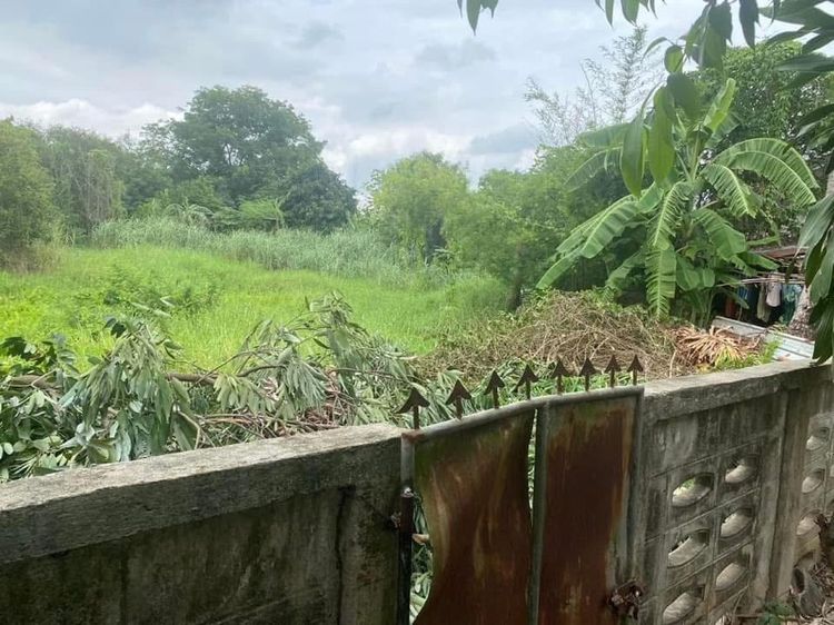 ใช่ ขายที่ดิน รูปที่ 2