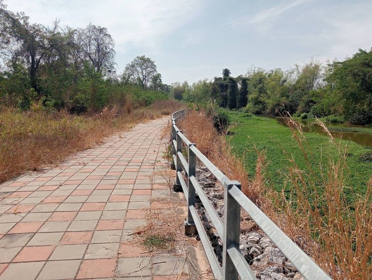 บ้านพร้อมที่ดิน รูปที่ 3