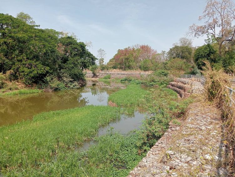 บ้านพร้อมที่ดิน รูปที่ 2